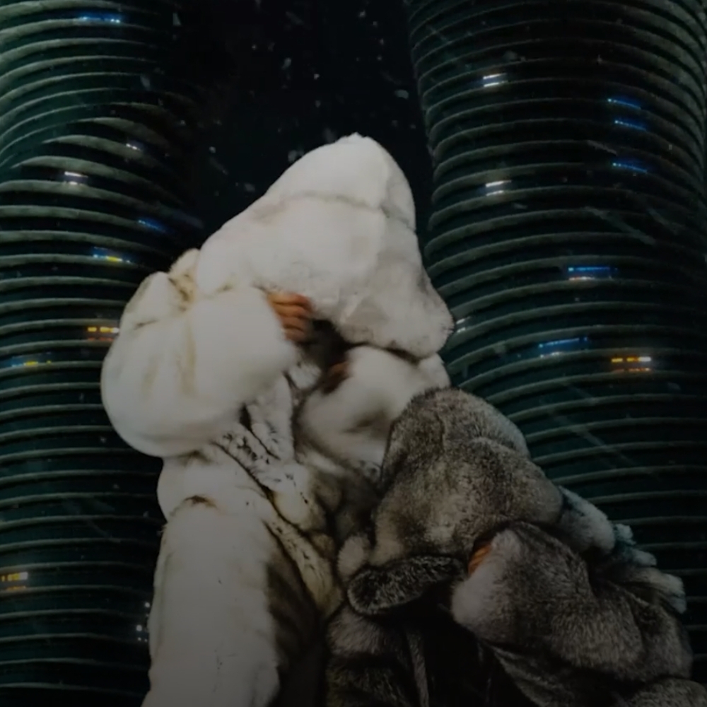 Luxurious White and Gray Fur Coat